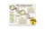 Cellular Structures and Functions Set DIGITAL DOWNLOAD