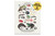 Animal Classes and Orders Set of Six DIGITAL DOWNLOAD