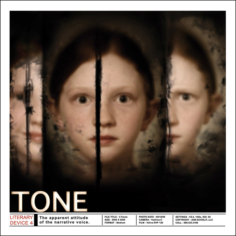 Literary Device Tone Poster, For Classroom, Office, Home or Library ...
