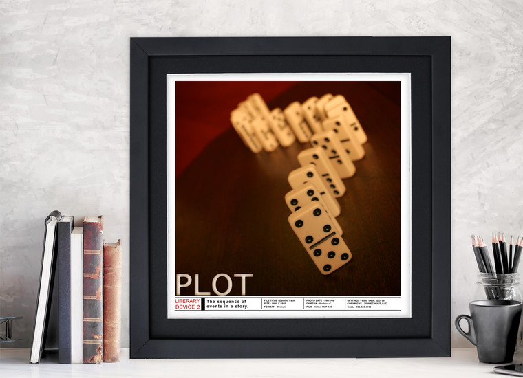 Literary Device Plot Poster. For Classroom, Office, Home or Library.