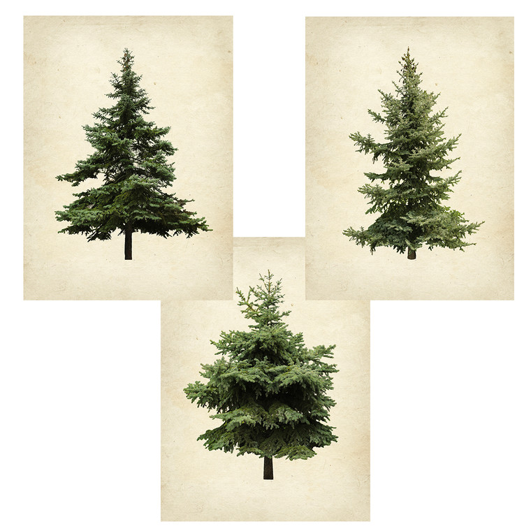 Holiday Trees Set of 3