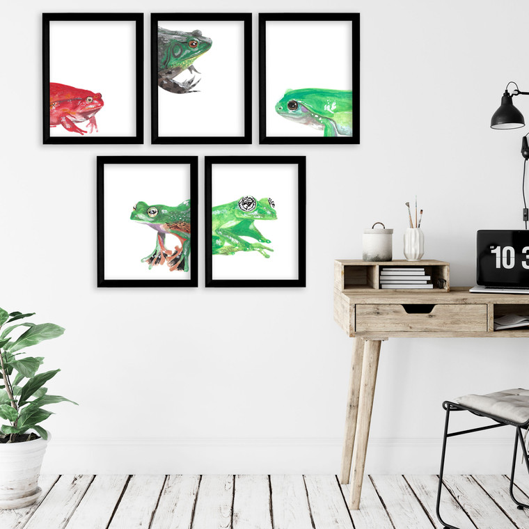 Frogs Gallery Wall Elementary and Middle School Scientific Classroom Poster Bundle