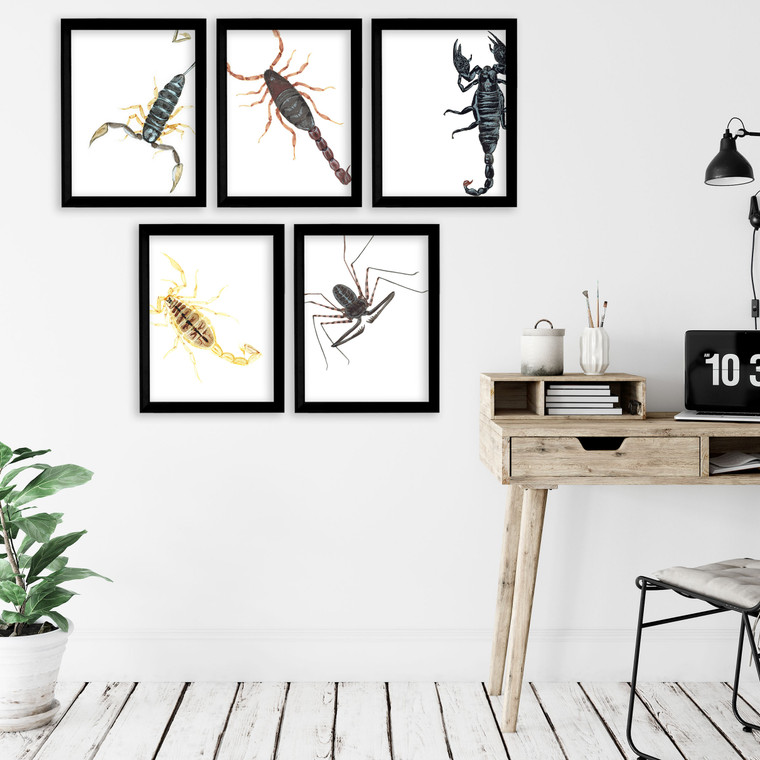 Scorpions Gallery Wall Elementary and Middle School Scientific Classroom Poster Bundle