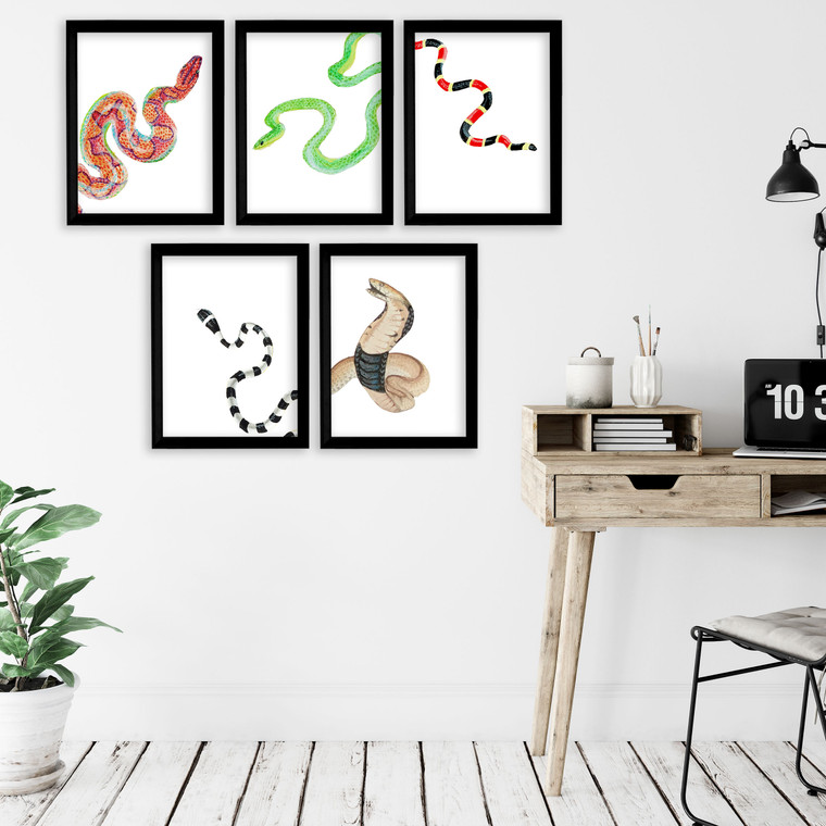 Snakes Gallery Wall Elementary and Middle School Scientific Classroom Poster Bundle