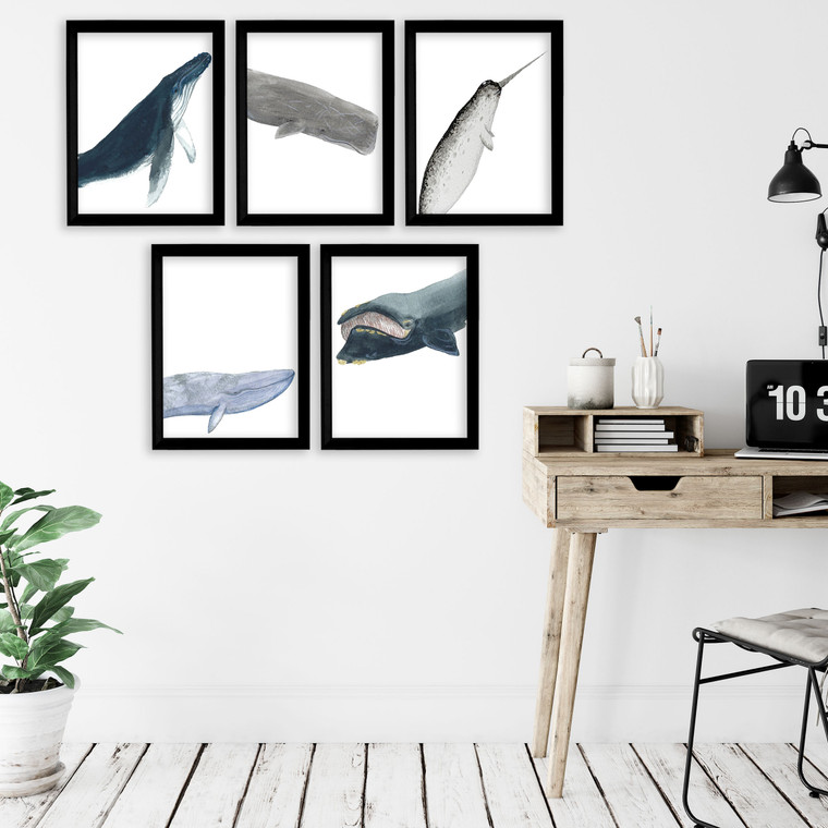 Whales Gallery Wall Elementary and Middle School Scientific Classroom Poster Bundle