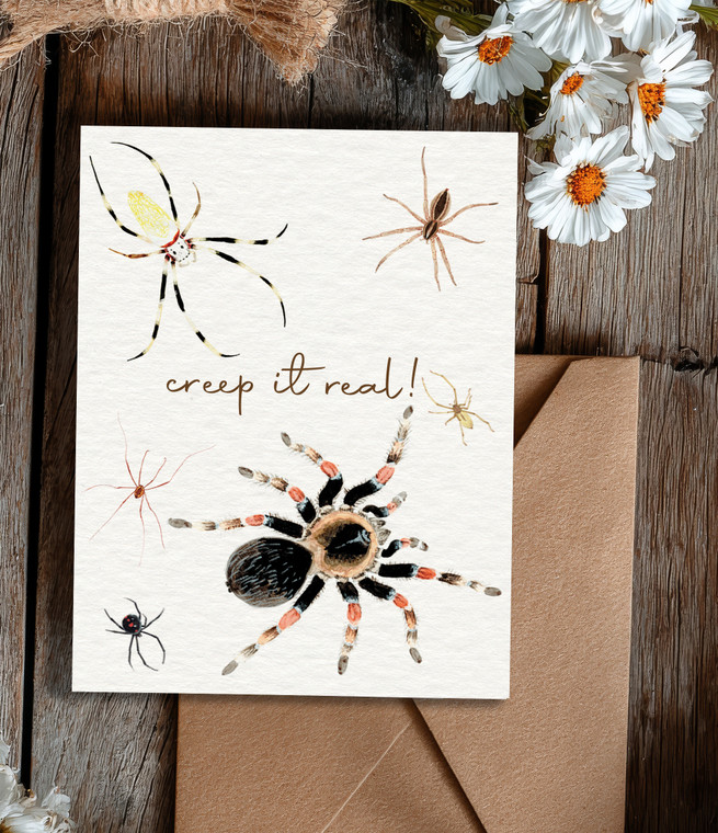 Creep it Real Spider Happy Birthday Card - Single or 8 Pack