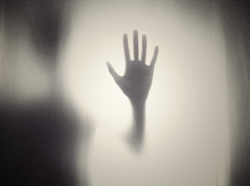 Scary Novels Based On True Events