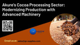 ​Akure's Cocoa Processing Sector: Modernizing Production with Advanced Machinery