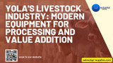 ​Yola's Livestock Industry: Modern Equipment for Processing and Value Addition