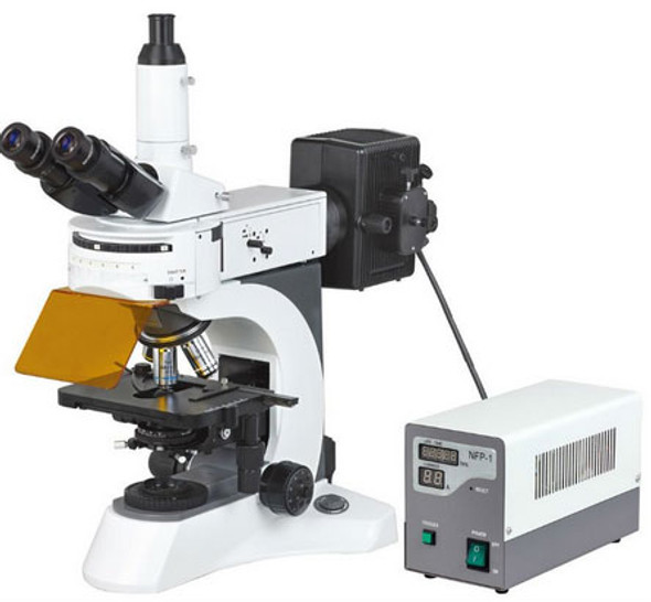 MS 811 Fluorescent Microscope