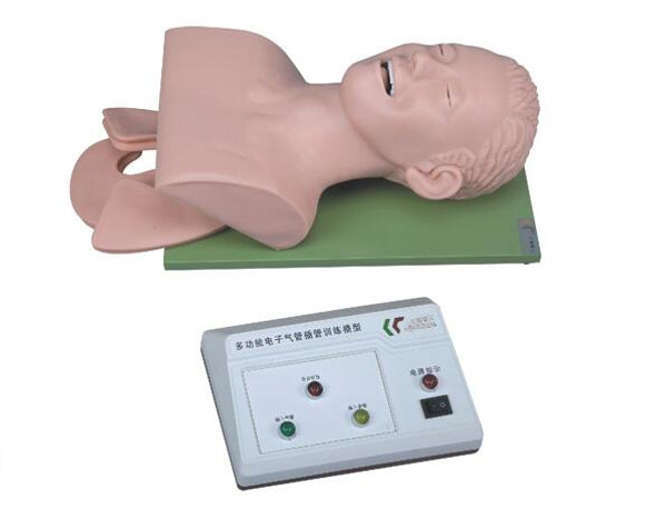 Electronic Trachea Intubation Training Model AR-3 ARI 