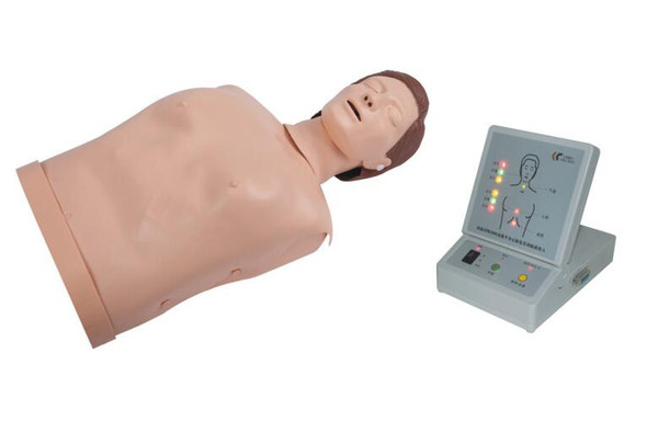 CPR200S Half Body CPR Training Manikin ARI 