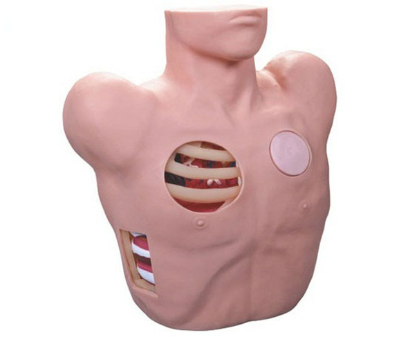 Thoracentesis Drainage Model  AR-L66 ARI