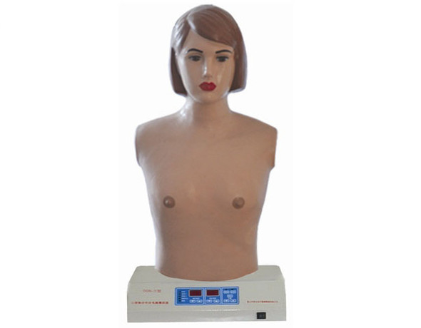 Digital Remote Controlled Cardiopulmonary Auscultation Manikin AR-XF ARI