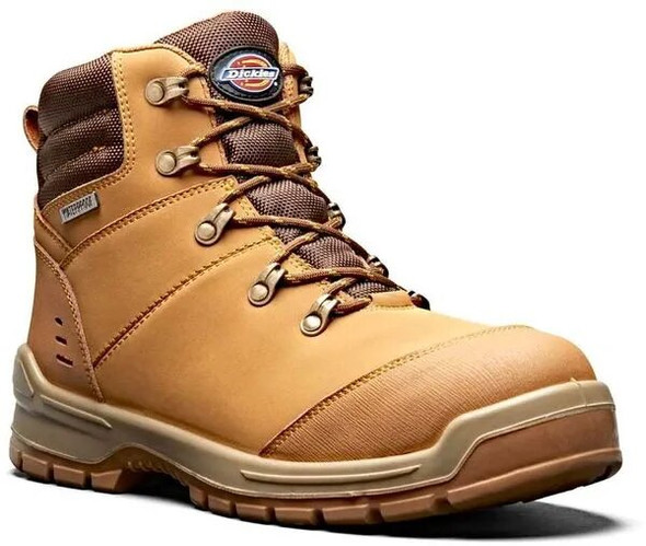 Safety Boot  Cameron Dickies 