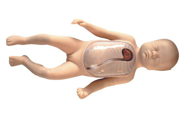 Neonatal Peripheral and Central Vein Intubation Model L67B ARI