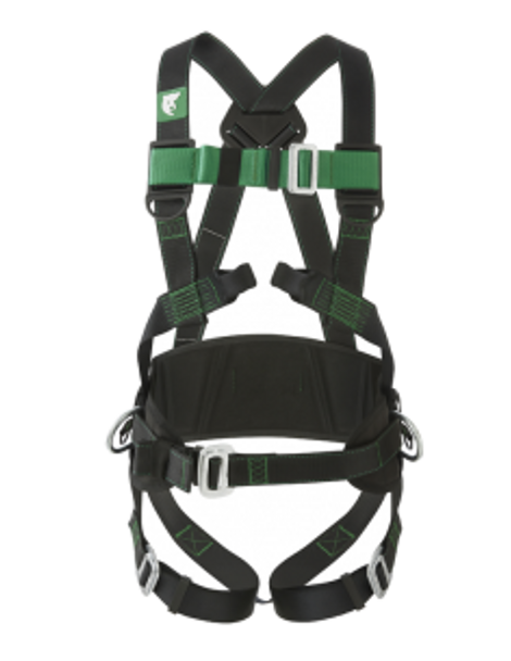 COVERGUARD Polaris 2 Point Belted Harness