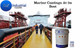 Paints and Coatings