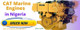CAT engines