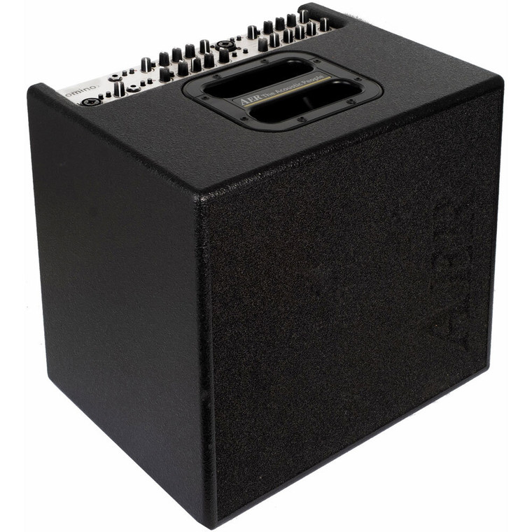 AER "Domino 2" Acoustic Instrument Amplifier (100 Watt)
