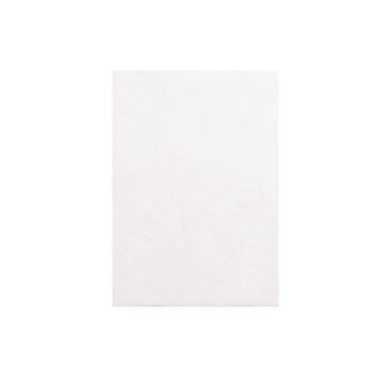 Tyvek Envelopes