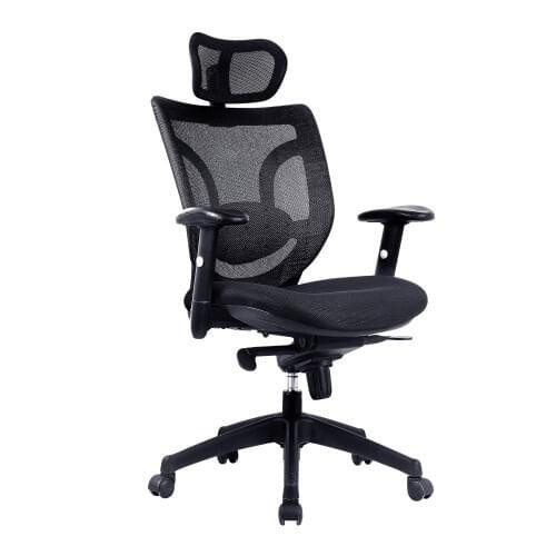 Adjustable Arms
