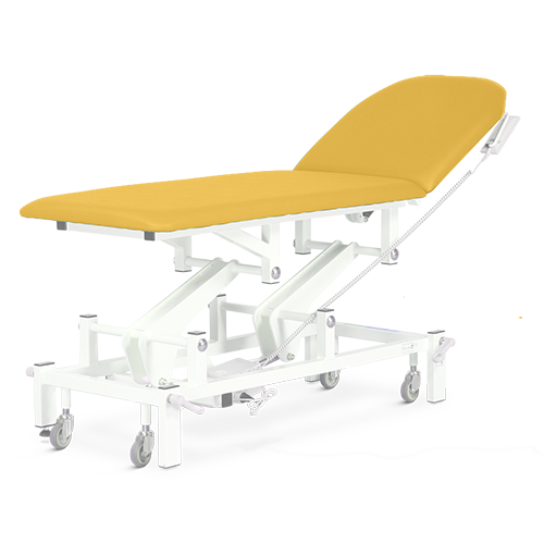 Electric with Electric Backrest, Foot Switch, Sunflower