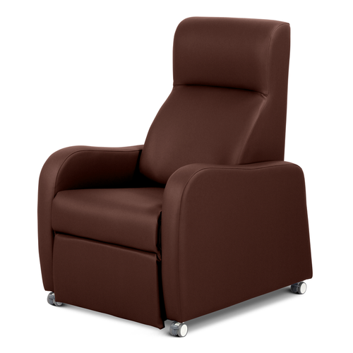 Rise & Reclining Armchair, Electric, Vinyl Buche