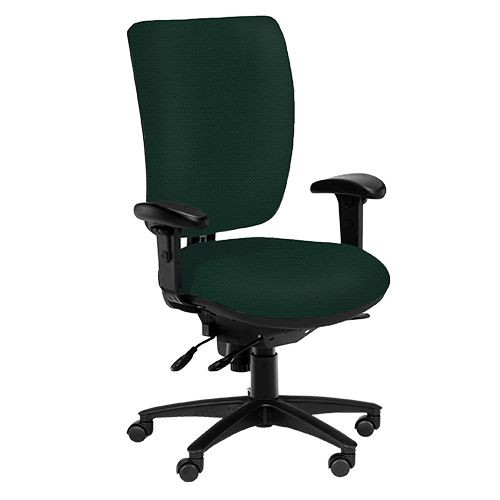Task Chairs - Ergo, High Back, Adjustable Arms - Aztec