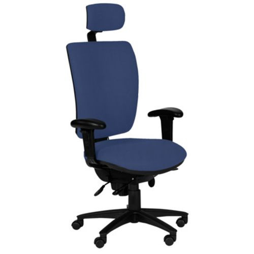 Task Chairs - Ergo, High Back, Adjustable Arms, Headrest - Marina