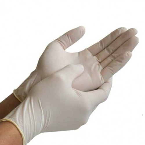 Shield Powder Free Latex Gloves (Large) (Pack of 100)