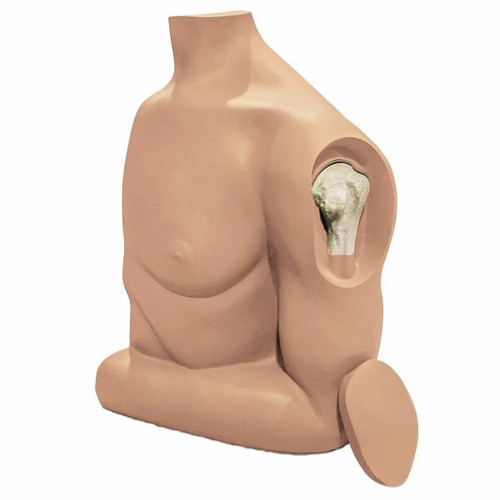 Humerus IO Trainer
