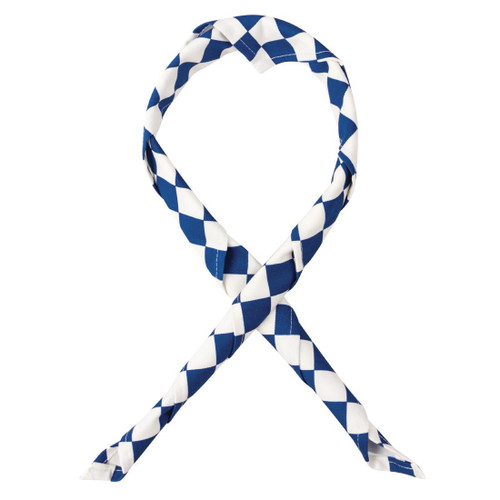 Whites Neckerchief Big Blue and White Check