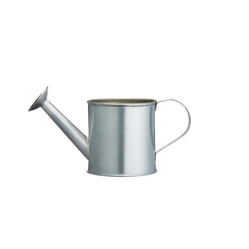 Small Watering Can Chip Cup