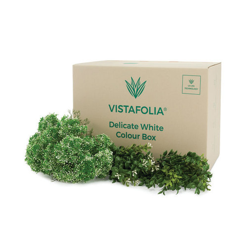 Vistafolia Delicate White Colour Box (Pack of 42) CBX-WHT Vistafolia Delicate White Colour Box (Pack of 42) CBX-WHT