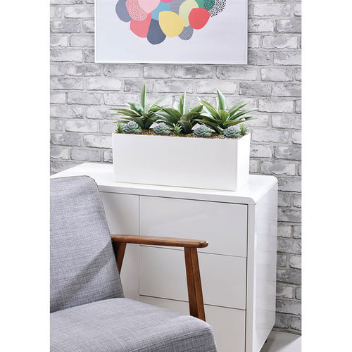 Agave and Succulent Matte White Trough LLRAGS350/RDYWH