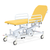Electric with Electric Backrest, Foot Switch, Sunflower