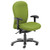 Premium Task Chairs - Posture Plus, High Back, Adjustable Arms, Headrest - Avocado