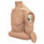 Humerus IO Trainer