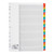 5 Star Office Index 1-31 Multipunched Mylar-reinforced Multicolour-Tabs 150gsm A4 White