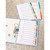 Elba Subject Divider 10-Part Multipunched Mylar-reinforced Multicolour-Tabs 170gsm A4 White Ref 100204941