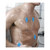 BlueSensor VLC Single–Use ECG Electrodes (Pack of 4)
