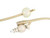 Biocath® Hydrogel Coated Foley Catheters
