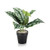 Tabletop Scindapsus Matte Lava Planter LLRSCD290/RDYLV