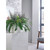 Boston Fern and Savannah Grass Matte Lava Trough LLRBFS550/RDYLV
