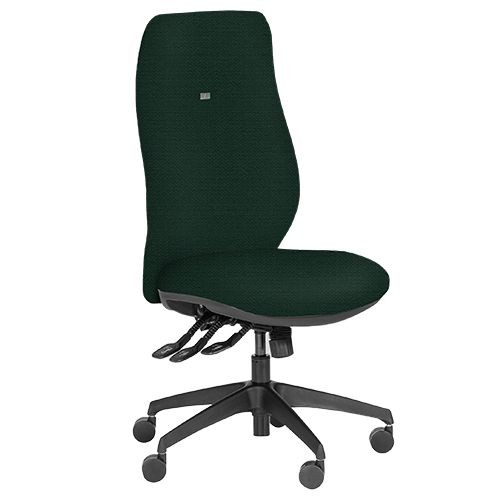 Premium Task Chairs -  Executive, High Back - Aztec