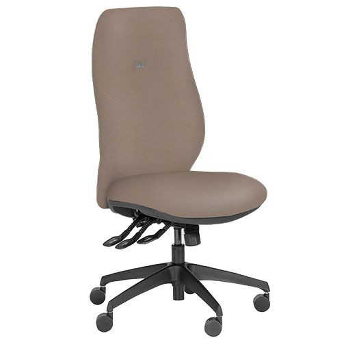 Premium Task Chairs - Executive, High Back, Adjustable Arms - Oatmeal
