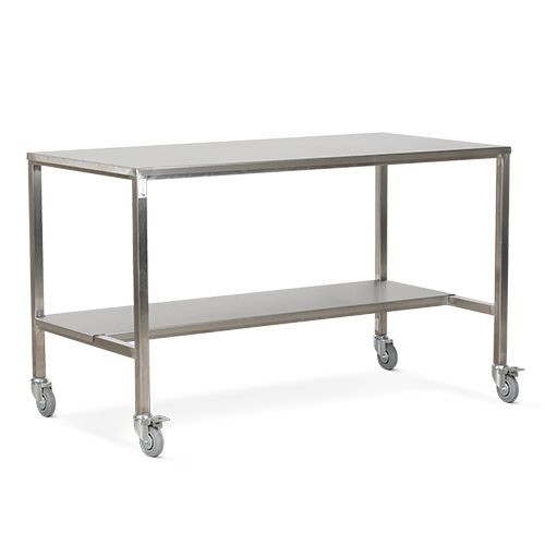 Stainless Steel, Fixed Height, Mobile