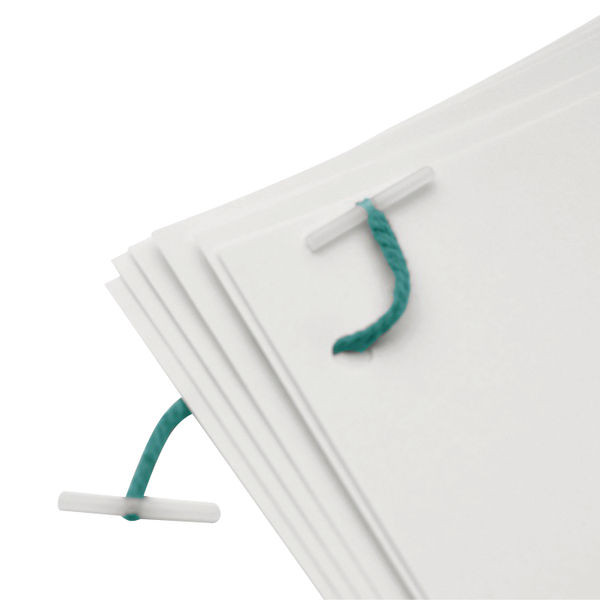 Q-Connect Plastic Treasury Tag 152mm (Pack of 100)