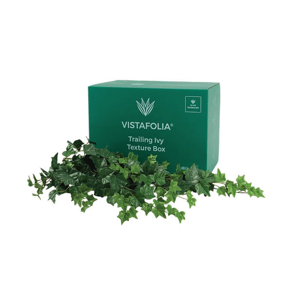 Vistafolia Trailing Ivy Texture Box (Pack of 9) TBX-TIV Vistafolia Trailing Ivy Texture Box (Pack of 9) TBX-TIV